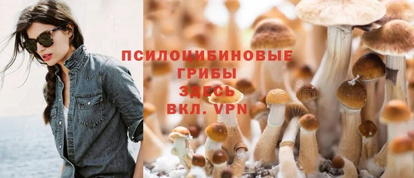 spice Алексин